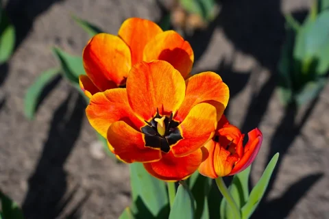 658965829_1810.max-2560x1440.format-webp.jpegquality-90.webp