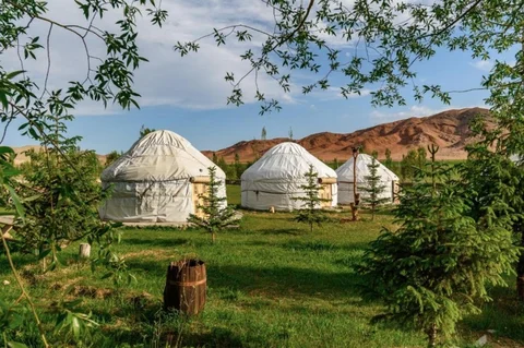 65deb28c46668-yurt_camp_gallery_image.width-800.jpg