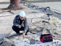 667234989_1455262809406097_6972524645491265775_n (1).jpg