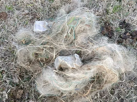 673876018_1268627335444600_6726756160657376863_n.jpg