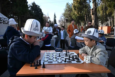 67dd02804dc63.jpeg