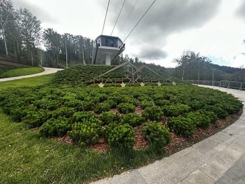 688302bbb1cae-thumb.jpeg
