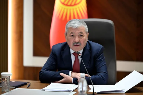 6967339abec8d-thumb.jpeg