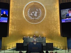 69af918b70456 (1).jpg