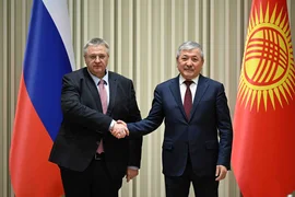 69d623745cbf7 (1).jpg