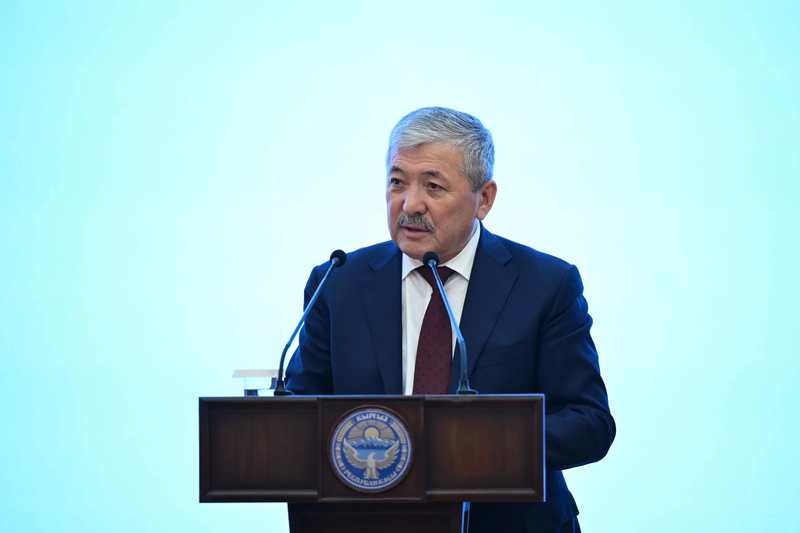 69d740ddcc242-.max-2560x1440.format-webp.jpegquality-90