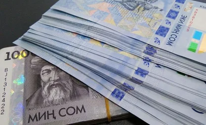 Өлкөдө дыйкан-фермерлерге 3,8 млрд сом жеңилдетилген насыя берилди