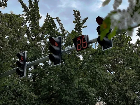 727304519_1492211369621379_6353428290633077691_n (1).jpg