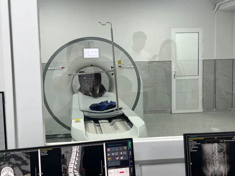729186453_2087403885206312_1389424455281490936_n.jpg