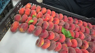 735377060_1365441452389117_5604637875239871318_n.jpg