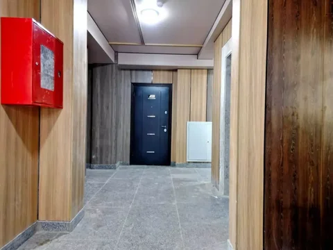 7450_5459.webp