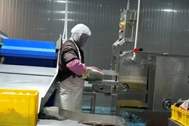 771795560_1249683333891269_1086052289445550614_n.jpg