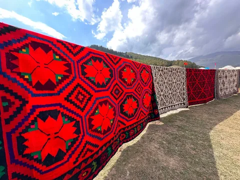 791728223_1610257527134363_8407575931214182598_n.jpg