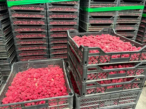 794494223_1580643116866355_807693211849807155_n.jpg