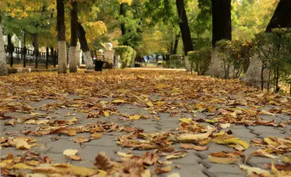 3-декабрда күтүлгөн аба ырайы