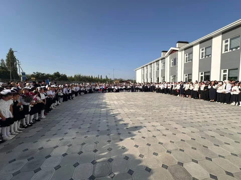 810421138_1621958509297598_7672610673460471475_n.jpg