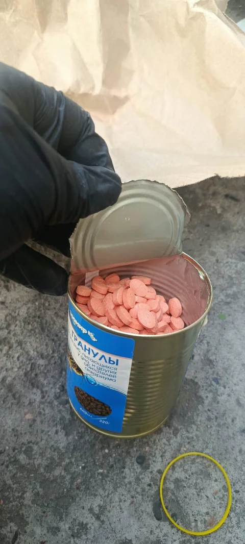 838658850_1792402225135796_138393148091767611_n.jpg