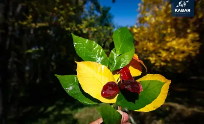 15-октябрга карата күтүлгөн аба ырайы