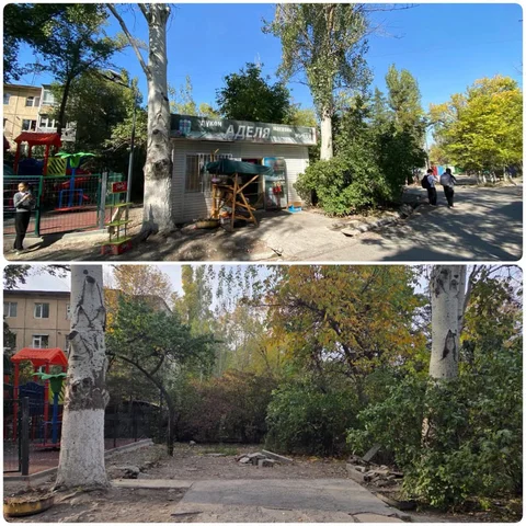 863539408_961970273204433_747811098742164500_n.jpg