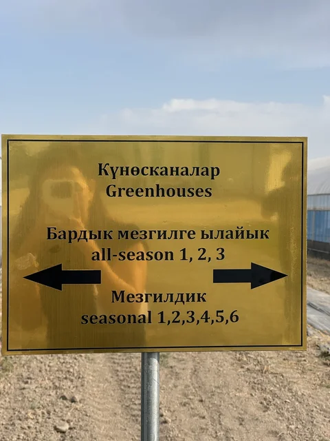 93976679-075b-.max-2560x1440.format-webp.jpegquality-90.webp