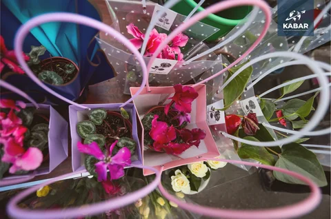 9db63a72-230e-4930-8d0c-8112b36d09a2.jpg