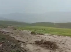 Без имени.png
