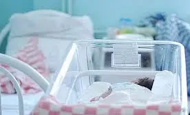 Bez_nazvaniya_4.2e16d0ba.fill-800x500.jpg