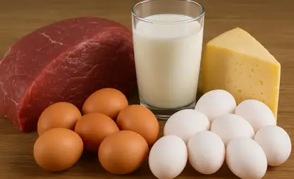 Кыргызстан мал чарба продукциясынын экспортун арттырууда
