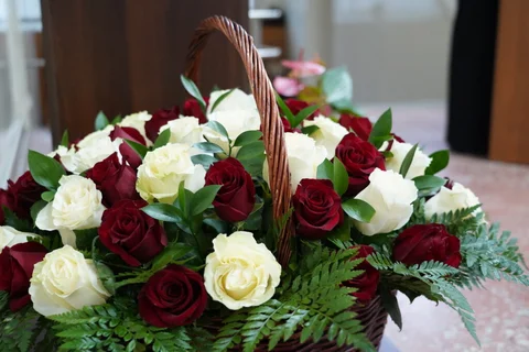 DSC02720.jpg