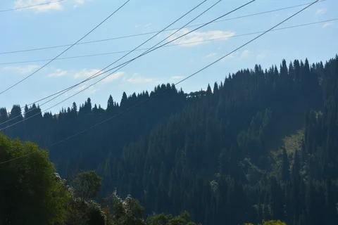 DSC_9617.max-2560x1440.format-webp.jpegquality-90.webp