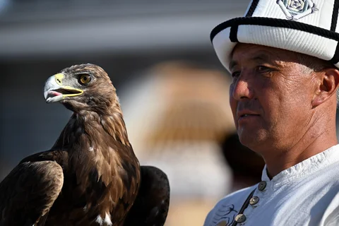 DST_7469.JPG