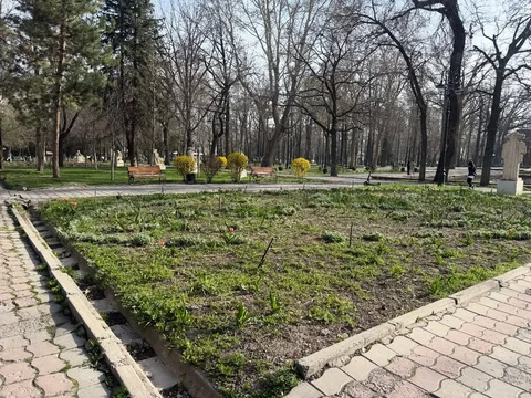 Dubovyy_park2.max-2560x1440.format-webp.jpegquality-90.webp