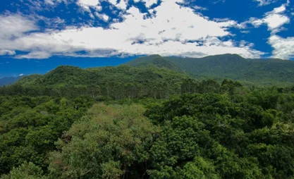 Forests-for-Life-The-Importance-of-Action-on-International-Day-of-Forests-Green-Initiative-Forest-Friends-1024x576.jpg