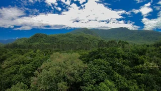 Forests-for-Life-The-Importance-of-Action-on-International-Day-of-Forests-Green-Initiative-Forest-Friends-1024x576.jpg