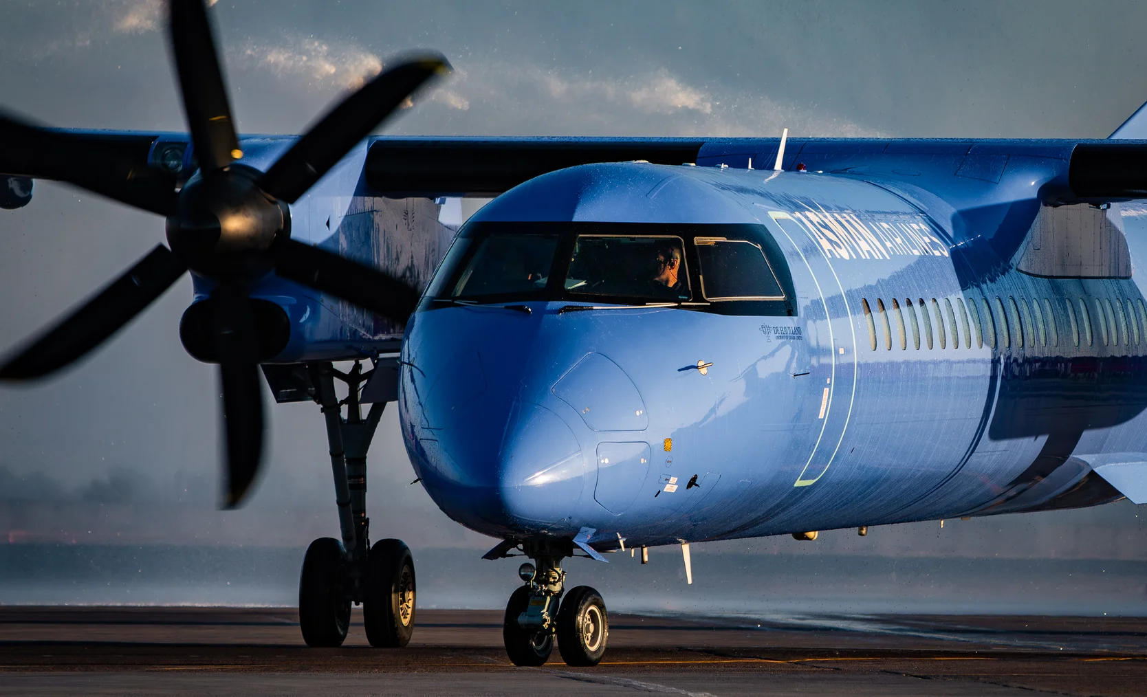 IMG_0146.jpg (1).jpeg