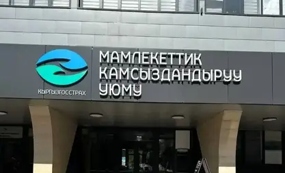 Камсыздандыруу уюму акыркы 1 жылда ишмердүүлүгүн кыйла жакшыртты