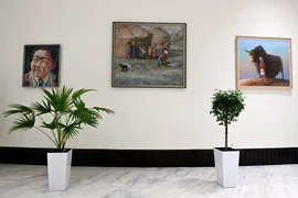 IMG_1773.jpeg