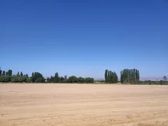 IMG_20260825_1_Dp9lpDm.max-2560x1440.format-webp.jpegquality-90.webp