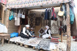 IMG_2408.jpeg