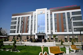 IMG_3008.jpeg