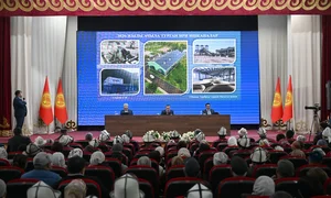 IMG_3314.jpeg