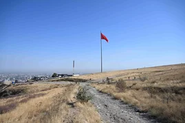 IMG_3342.jpeg
