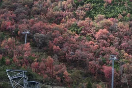 IMG_3432.jpeg