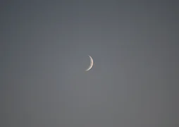 IMG_4920.jpeg