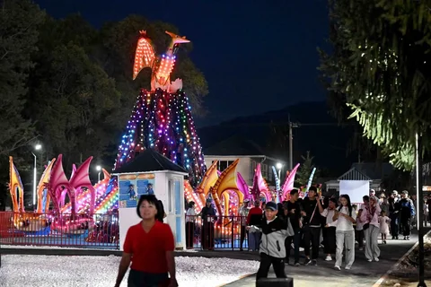 IMG_6169.jpeg