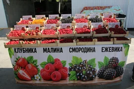 IMG_6248.max-2560x1440.format-webp.jpegquality-90.webp