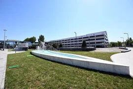 IMG_6558.jpeg