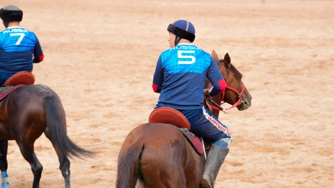 IMG_6855.JPG.jpeg