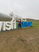 IMG_7176.jpeg