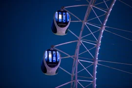 IMG_7482.jpeg